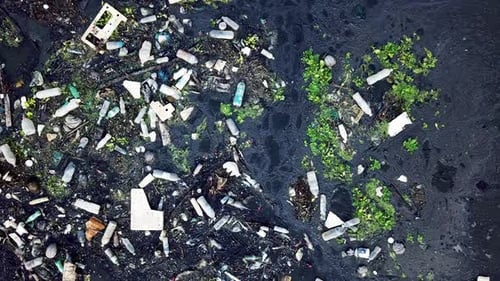 Rubbish accumulated at dark river. Pollution environment.