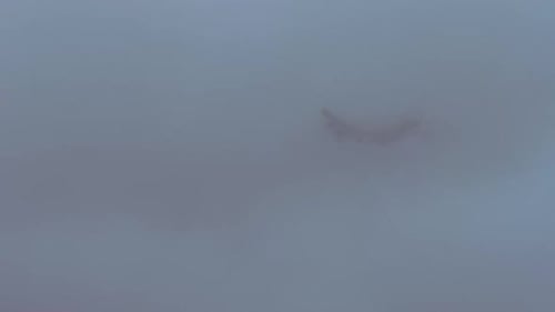 The Plane Flies Through the Cloud