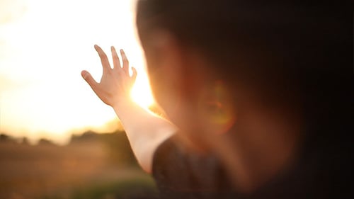 Girl Leaning Out Of Car