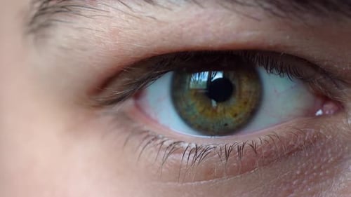 Detailed Close Up of a Human Eye