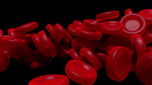 Close-up simulation of blood cells in onanism