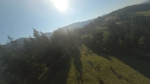 Mountains And Forest Height Clouds