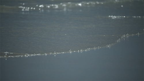 Tide