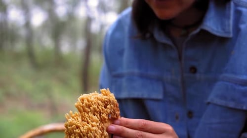 Woman with edible mushroom in hands in forest