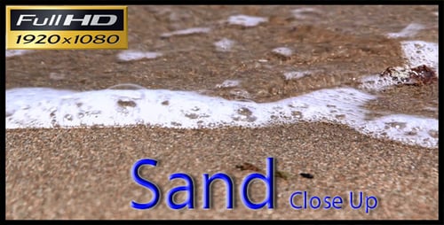 Shore Close Up
