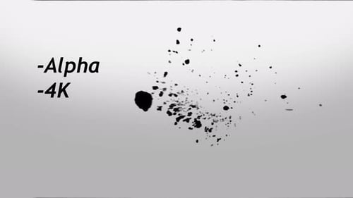 Fluid Black Ink Splatter Transition with Alpha Channel
