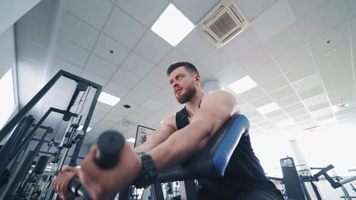 Young Adult Bicep Curls on Gym Equipment