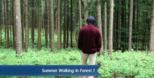 Walking Forest