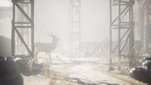 Des cerfs sauvages rôdent dans les rues d'une ville abandonnée