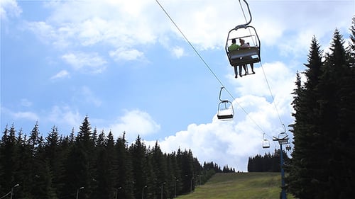 Chairlift Over Fir Forest