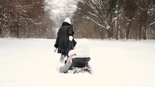 Mother Having Fun Sledding with Kids in Winter Forest
