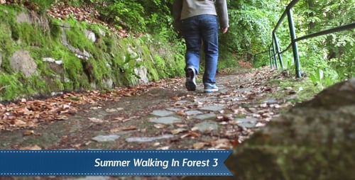 Walking Forest