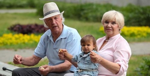 Grandparents Spending Time with Grandchild in Park