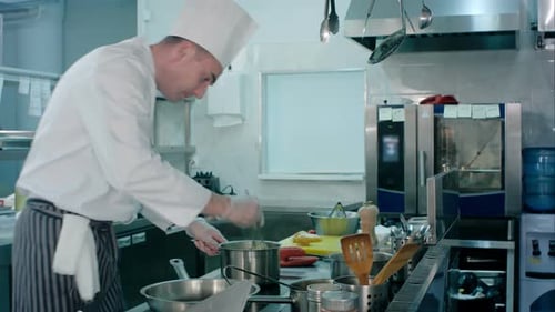 Professional Chef Cooking Food in a Kitchen