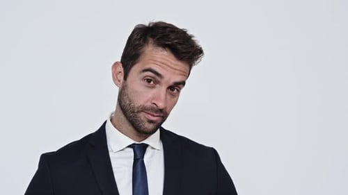 Smiling Businessman Portrait in Dark Suit and Tie