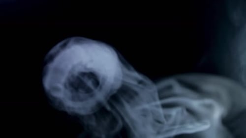 Abstract Smoke Plumes and Rings on Black