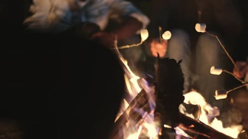 Friends Roasting Marshmallows Around a Campfire at Night