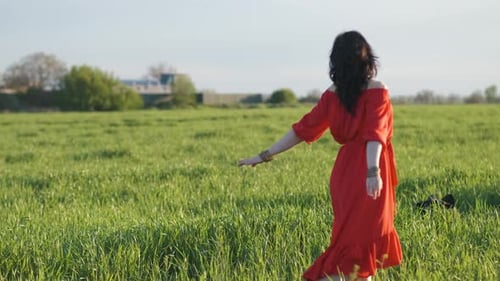 Beautiful Young Woman in a Red Dress Walks in a Green Wheat Field at Sunset or Dawn