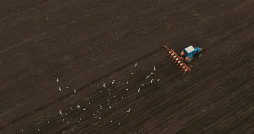 Mechanized Sowing Cereal Crops in Agricultural Field View From Drone on Seed Drill Prores