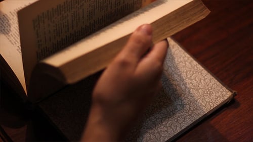 Browsing Book For a Certain Word