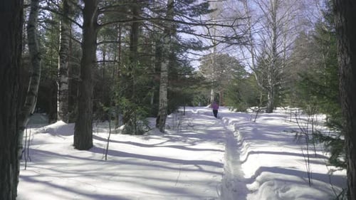 Woman Walking in Winter Forest