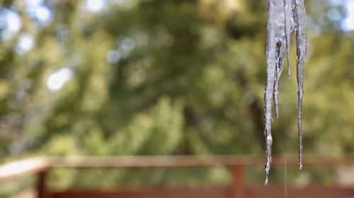 Close up view of a group of hanging icicles on the deck of a home with water melting and running dow