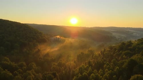 Aerial View of Bright Foggy Morning Over Dark Forest Trees at Warm Summer Sunrise