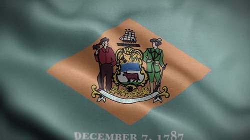 Bandera del estado de Delaware, frontal
