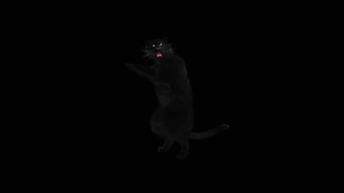 80 Panther Standing Magic Attack HD