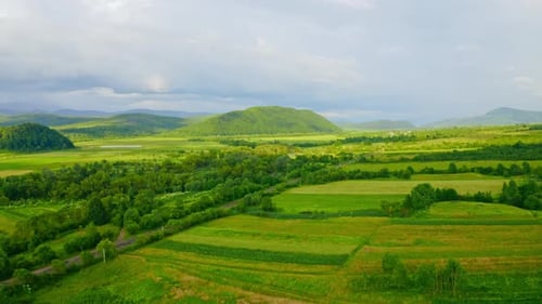Aerial View Rural Landscape in Summer