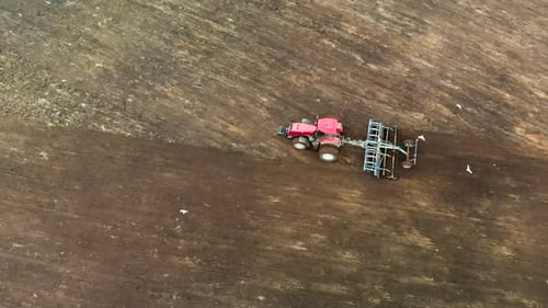 Tractor Plows a Field with a Cultivator. Farmer Cultivates Farmland with a Disc Harrow