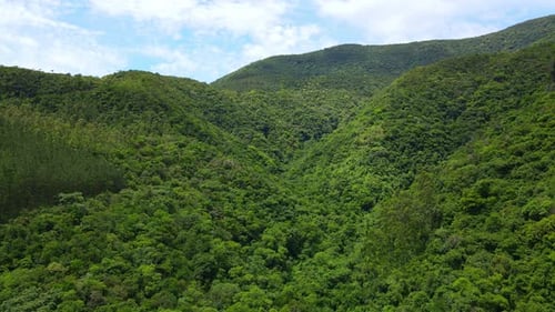 Aerial drone view of a green valley with hills and dense forest.