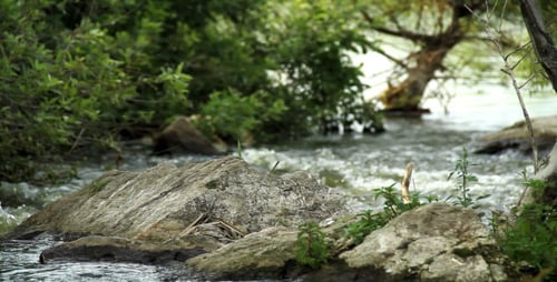 River Flowing Past Rocks