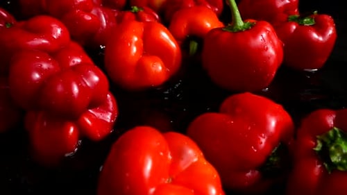 Vibrant Red Bell Peppers with Water Droplets