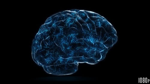 Futuristic Digital Brain with Glowing Neurons Animation