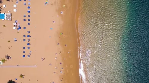 View From the Height of the Golden Sand, Palm Trees, Sun Loungers, Unrecognizable People on the