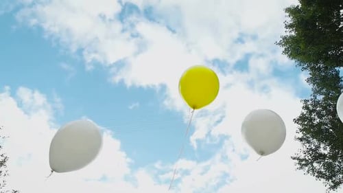 Beautiful Colourful Ballons on Summer Sky at the Background