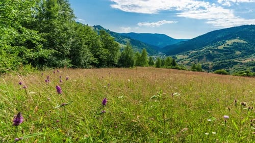 The Sun Over the Synevir Pass of the Carpathian Mountain Ranges