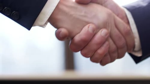 Business Handshake Between Two Adult Men