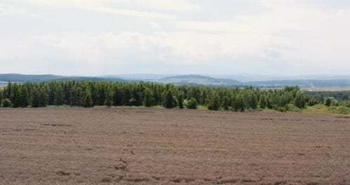 Aerial View of Farmland. Aerial View of Forest and Agriculture Fields