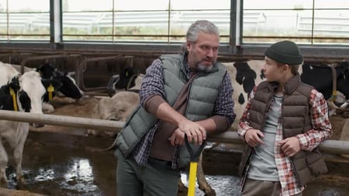 Sequence of Man and Boy at Dairy Farm