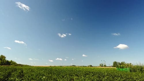 Sunny Summer Day, the Process of Cloud Formation in the Sky.