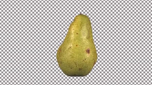 Green Pear Rotating on Transparent Background