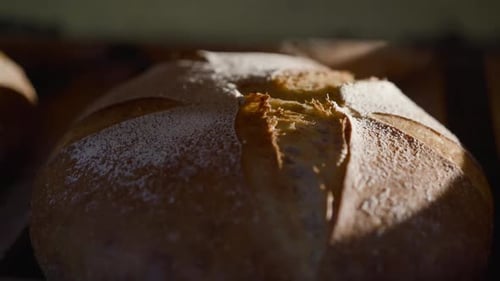 Close View of Freshly Baked Rye Round Bread with Bran