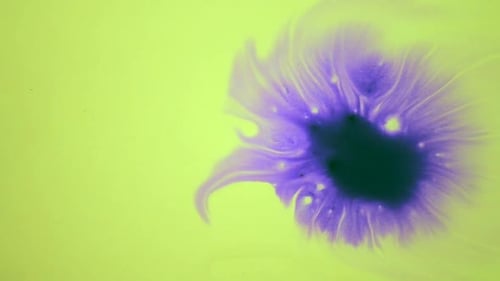 Expanding Purple Ink Blot on Yellow Background