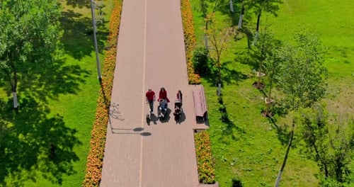 Happy Large Family is Walking in the Park a Mother is Driving a Disabled Child in a Wheelchair