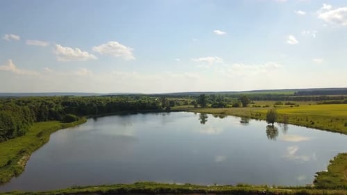 Natur & Teichwasser