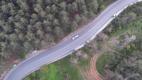 Forest Road