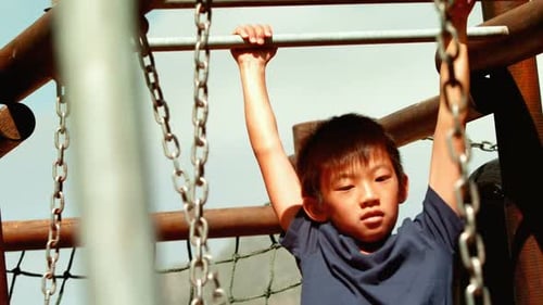 Child Hanging from Playground Bars on Sunny Day