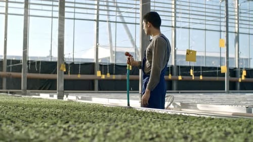 Greenhouse Laborer gießt Setz
